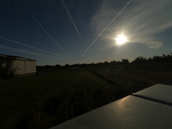 ピーカン農場の空に映える飛行機雲 ゴールデンピーカン株式会社